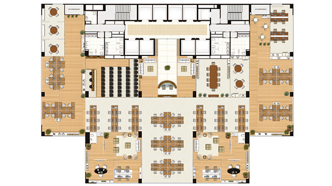 Canopus Corporate - Imagem 3