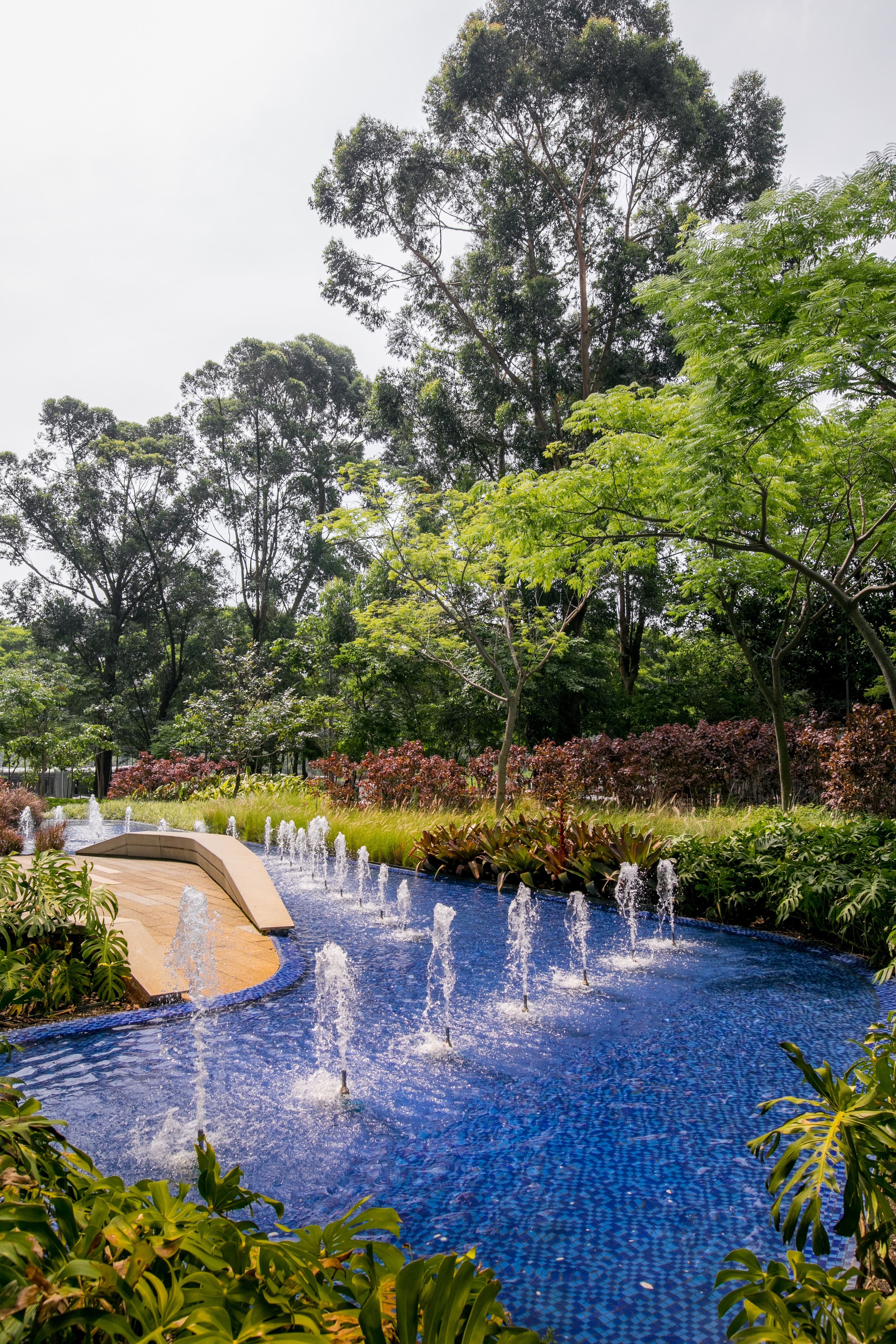 Parque da Cidade - Torre Sucupira - Imagem 3