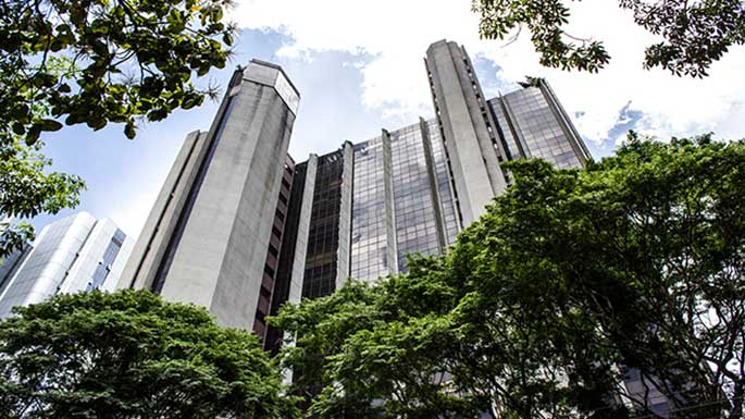 Brasilinterpart - PCG