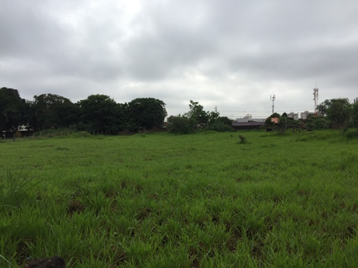 Terreno Bom Retiro